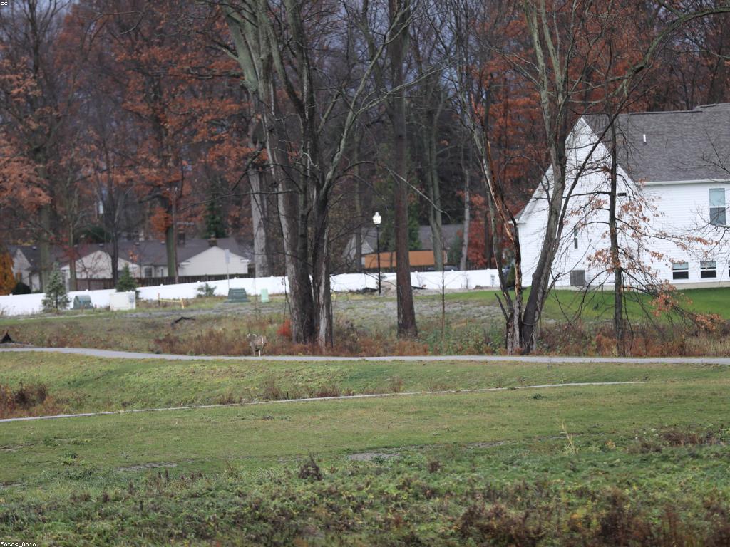 សារៈសំខាន់នៃការវាយតម្លៃហ្គេម