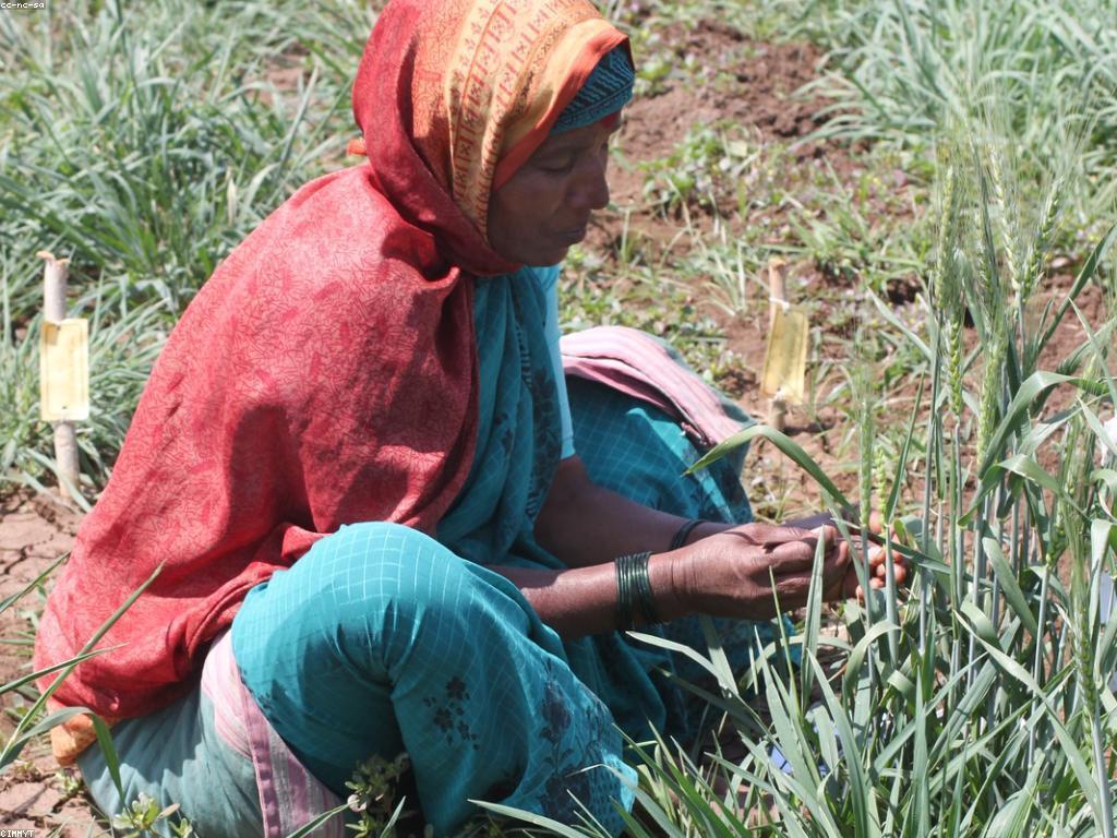 ផលប៉ះពាល់នៃការកើតមានការប្រកួតស្គាល់