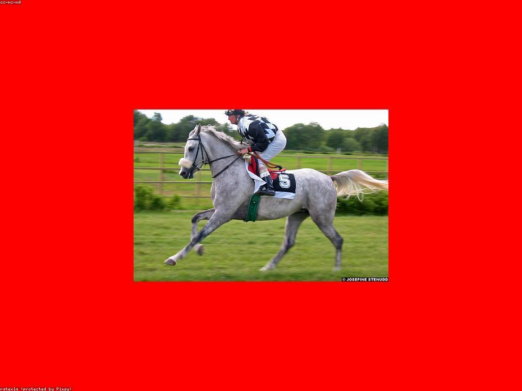 ការប្រកួតស្គាល់: ការប្រកួតដ៏គួរឱ្យចាប់អារម្មណ៍